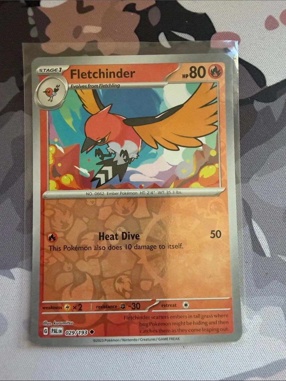 Fletchling Fletchinder Talonflame Evolution Lot Holo & Reverse Holo 🔥 ✨5/$25✨